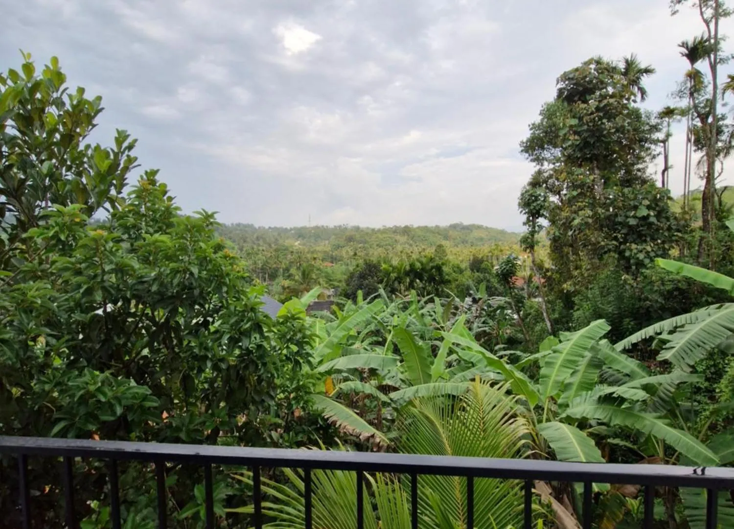 Parthees Homestay Meppādi Indie