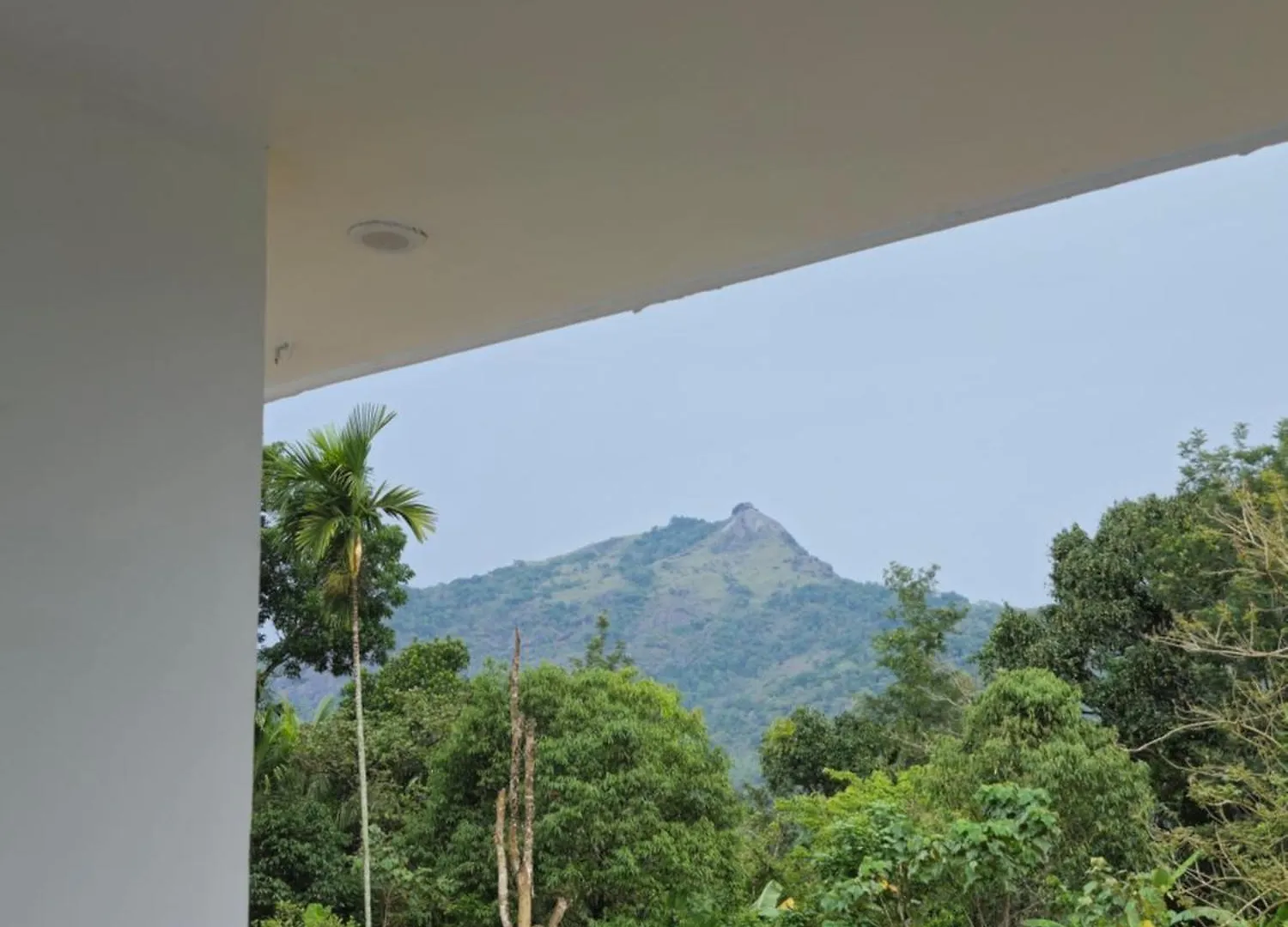 Parthees Homestay Meppādi Indie