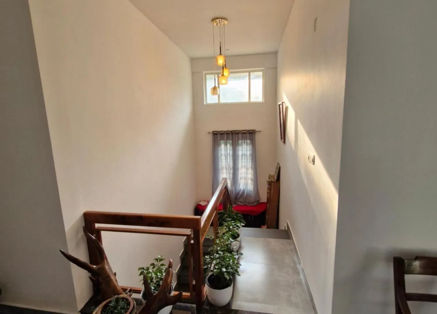 Parthees Homestay Meppādi 0*,